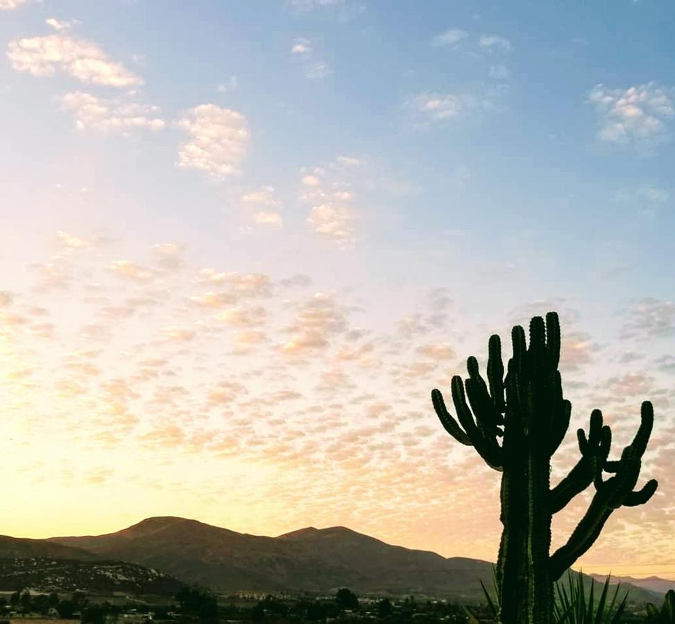 Terra Monarca Villa Valle de Guadalupe Bagian luar foto